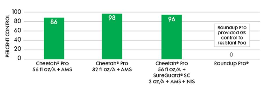 cheetah pro-suregard-table
